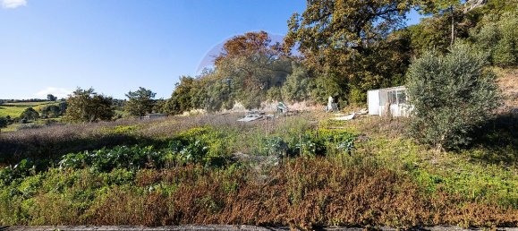 3 غرف نوم منزل في Batalha, Portugal رقم 18707 34