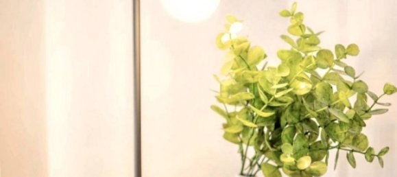 3 bedrooms Bungalow in Bang Kaeo, Thailand No. 25522 8