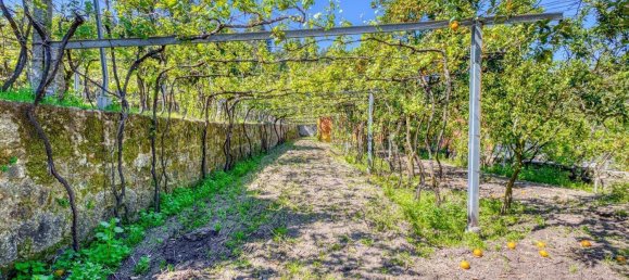 3 Schlafzimmer Schlösser in Esposende, Portugal, Nr. 284754 7