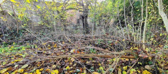 7-Zimmer Haus in Certaldo, Italy, Nr. 11711 5