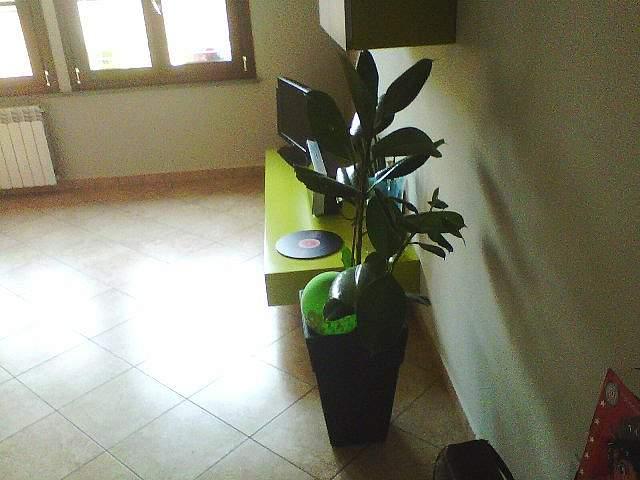 4-Zimmer Wohnung in Santa Croce sull'Arno, Italy, Nr. 91836