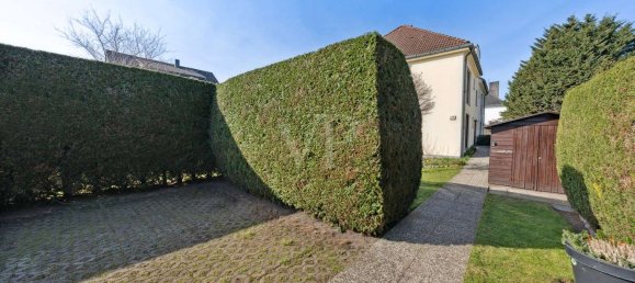 Dúplex de 3 dormitorios en Britz, Germany No. 35886 12