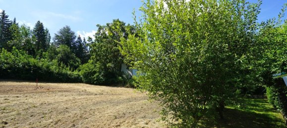 Земельный участок в Пресбаум, Австрия № 26758 4