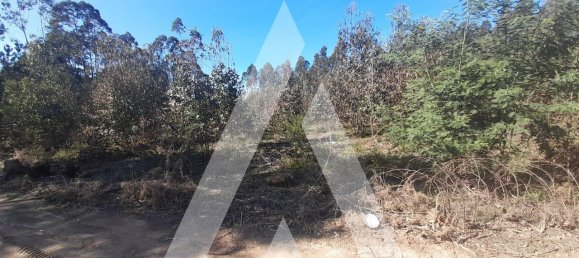  قطعة أرض في Agueda, Portugal 3960متر مربع رقم 89453 6