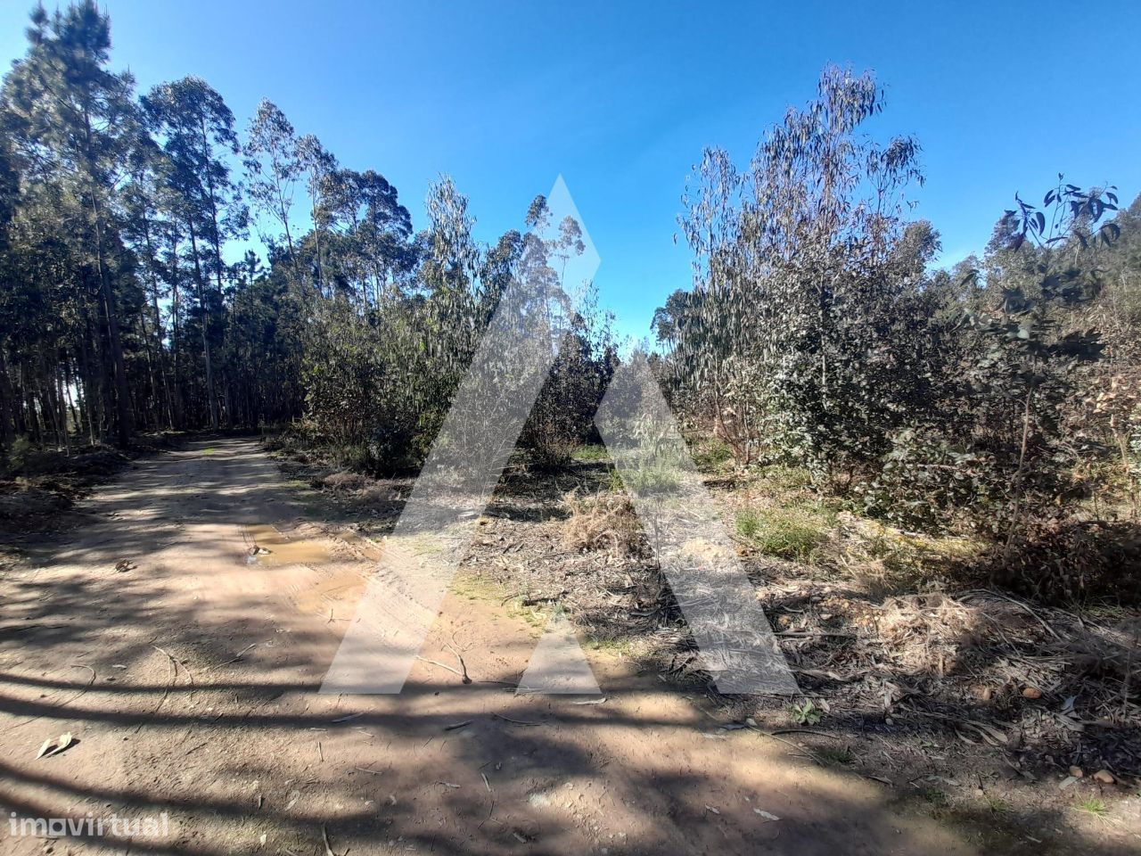  قطعة أرض في Agueda, Portugal 3960متر مربع رقم 89453