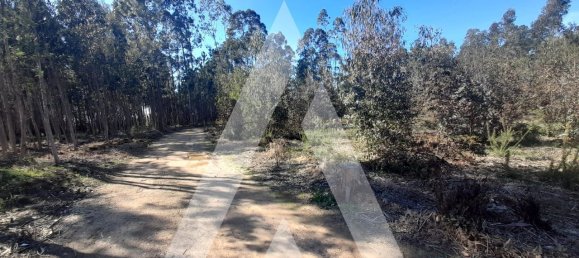  قطعة أرض في Agueda, Portugal 3960متر مربع رقم 89453 10