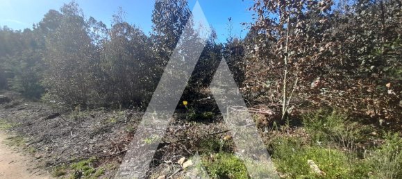  قطعة أرض في Agueda, Portugal 3960متر مربع رقم 89453 4