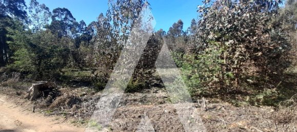  قطعة أرض في Agueda, Portugal 3960متر مربع رقم 89453 7