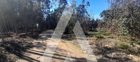  قطعة أرض في Agueda, Portugal 3960متر مربع رقم 89453 2