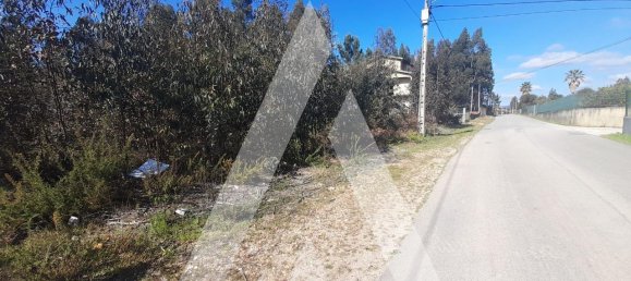  قطعة أرض في Agueda, Portugal 3960متر مربع رقم 89453 3