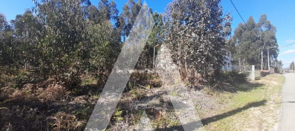  قطعة أرض في Agueda, Portugal 3960متر مربع رقم 89453 5