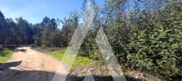  قطعة أرض في Agueda, Portugal 3960متر مربع رقم 89453 8