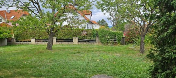 3-Zimmer Haus in Kottingbrunn, Austria, Nr. 102875 6