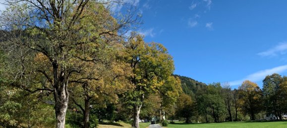 Terreno em Piesendorf, Austria 1209 m² N.º 69109 2