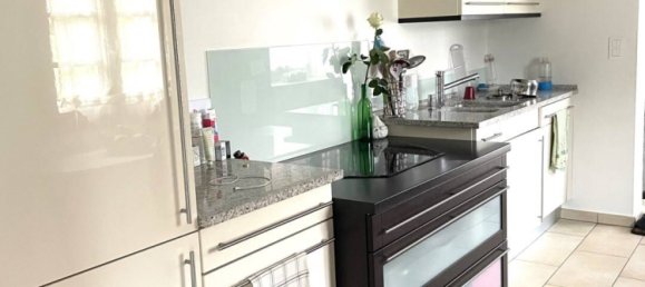 3 غرف نوم منزل في Hagenthal-le-Haut, France رقم 68757 12