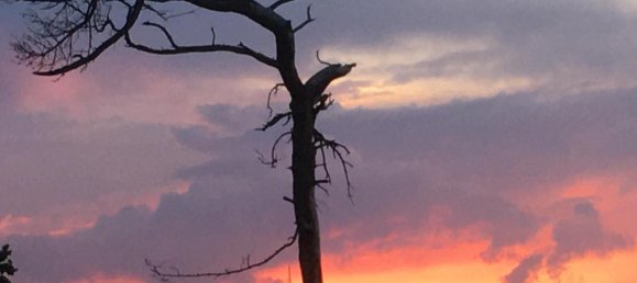 6-Zimmer Stadthaus in Vorpommern-Greifswald, Germany, Nr. 262682 30