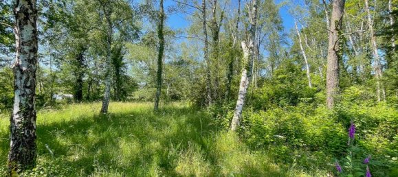 Terreno en Romorantin-Lanthenay, France 6550 m² No. 154099 3