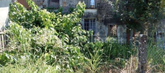 1 bedroom Apartment in Roncoferraro, Italy No. 350108 5