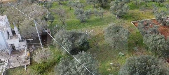 Villa de 10 habitaciónes en Locorotondo, Italy No. 20729 14