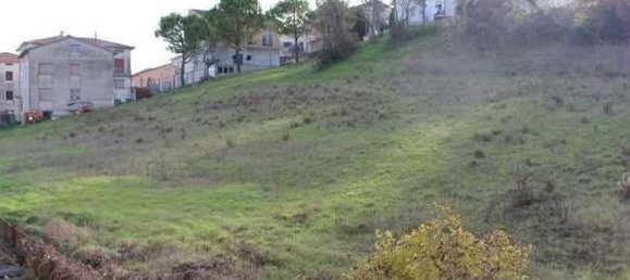 Entrepôt à Torre San Patrizio, Italy 2790m² No. 300732 13