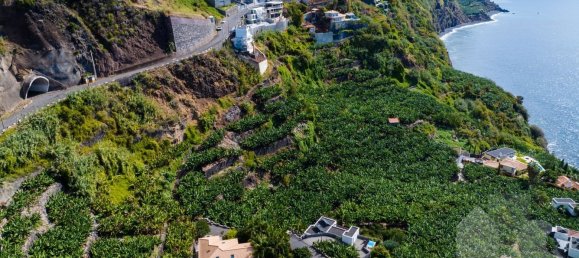 Grundstück in Calheta, Portugal, Nr. 141162 6