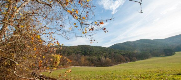 Apartamento de 3 habitaciónes en Modling, Austria No. 155534 15