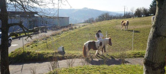 Земельный участок в Ремс-Мур, Германия № 361161 2