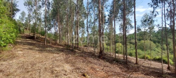 Grundstück in Aljubarrota, Portugal, Nr. 67291 14