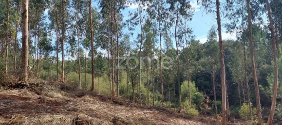 Grundstück in Aljubarrota, Portugal, Nr. 67291 9