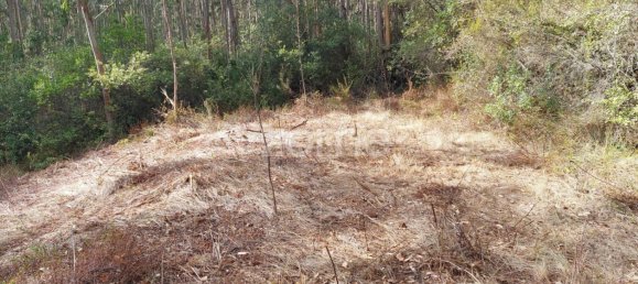 Grundstück in Aljubarrota, Portugal, Nr. 67291 8