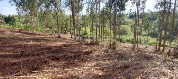 Grundstück in Aljubarrota, Portugal, Nr. 67291 19