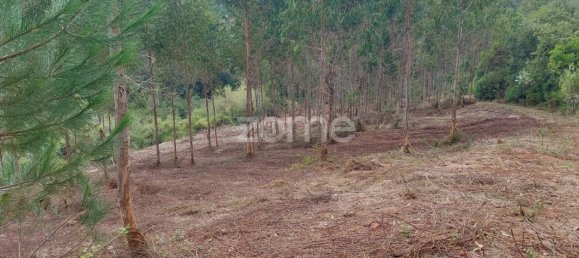 Grundstück in Aljubarrota, Portugal, Nr. 67291 2