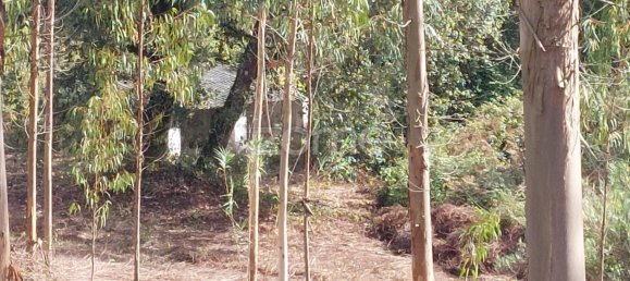 Grundstück in Aljubarrota, Portugal, Nr. 67291 18