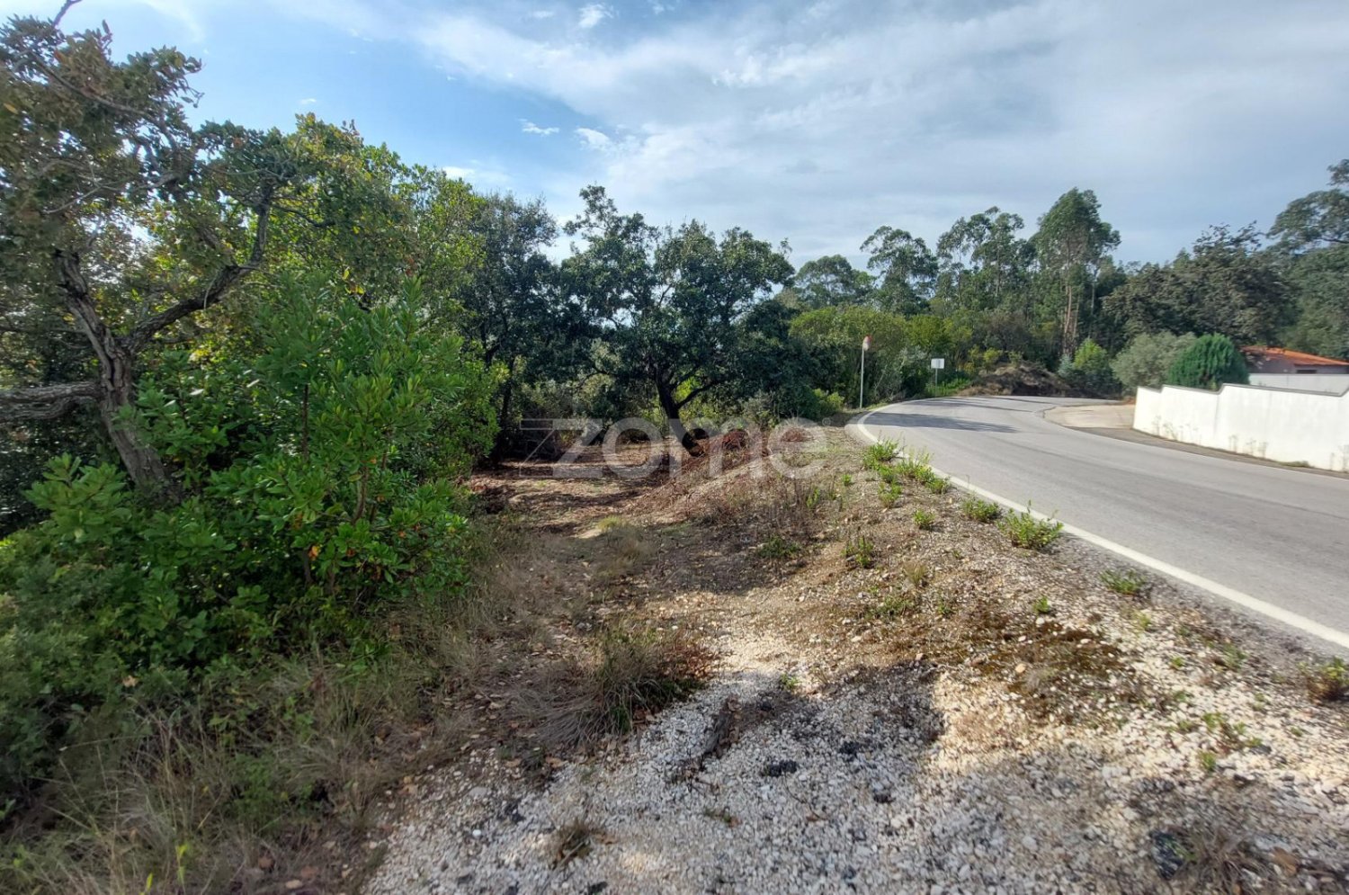 Grundstück in Aljubarrota, Portugal, Nr. 67291