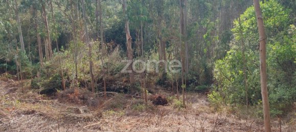 Grundstück in Aljubarrota, Portugal, Nr. 67291 6