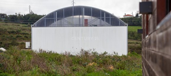 4 chambres Maison à Ericeira, Portugal No. 185874 36
