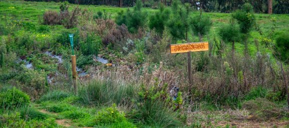 4 chambres Maison à Ericeira, Portugal No. 185874 47