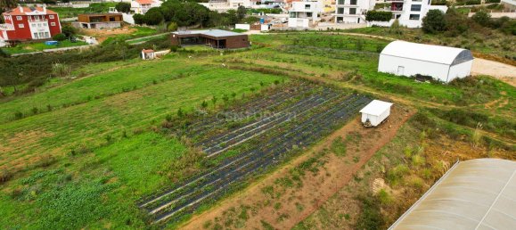 4 chambres Maison à Ericeira, Portugal No. 185874 46