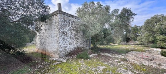 Terreno de 1 divisão em Ostuni, Italy N.º 23082 3