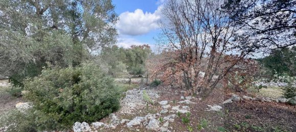 Terreno de 1 divisão em Ostuni, Italy N.º 23082 5