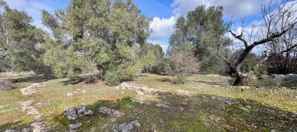 Terreno de 1 divisão em Ostuni, Italy N.º 23082 7