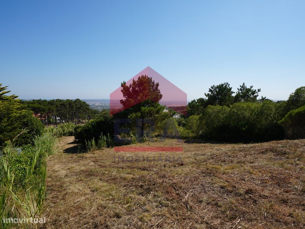 3940m² Land in Sao Martinho do Porto, Portugal No. 295794