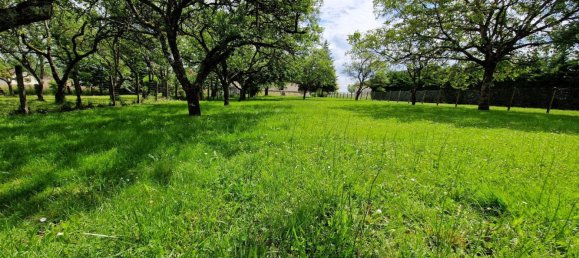 Дом с 5 спальнями в Гйонвель, Франция № 58073 43