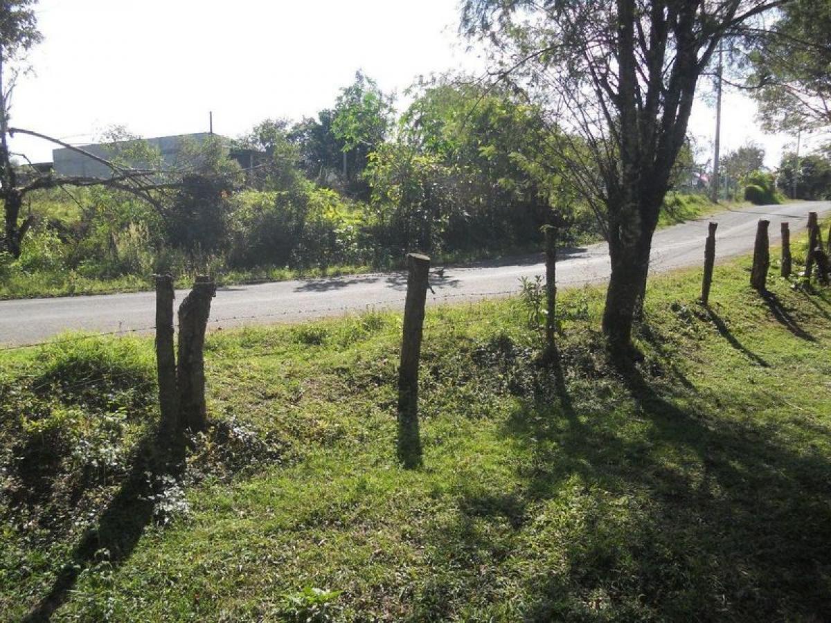  Land in Veracruz, Mexico No. 204326