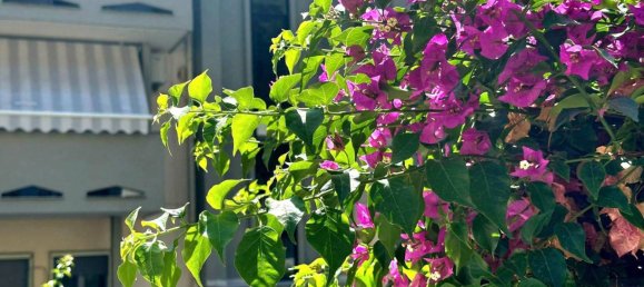 Apartamento de 5 dormitorios en Salerno, Italy No. 346868 8