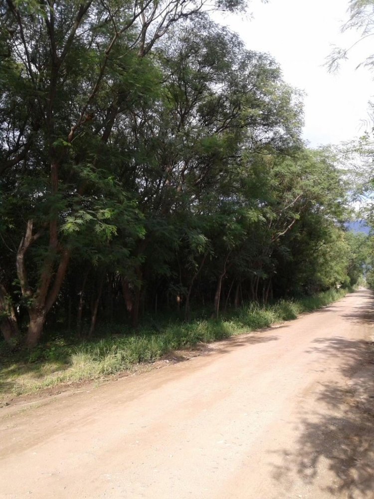  Land in San Luis, Argentina No. 34671