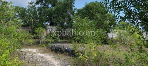 Terrain à Jimbaran, Indonesia 21000m² No. 3748 10