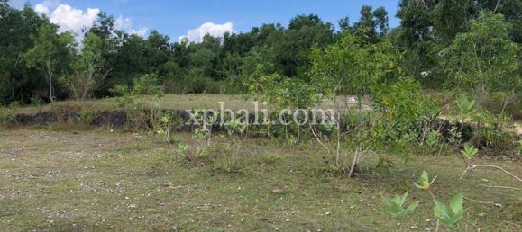 Terrain à Jimbaran, Indonesia 21000m² No. 3748 25