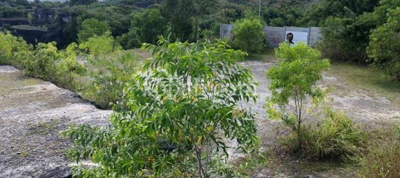 Terrain à Jimbaran, Indonesia 21000m² No. 3748 23