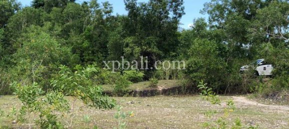 Terrain à Jimbaran, Indonesia 21000m² No. 3748 12